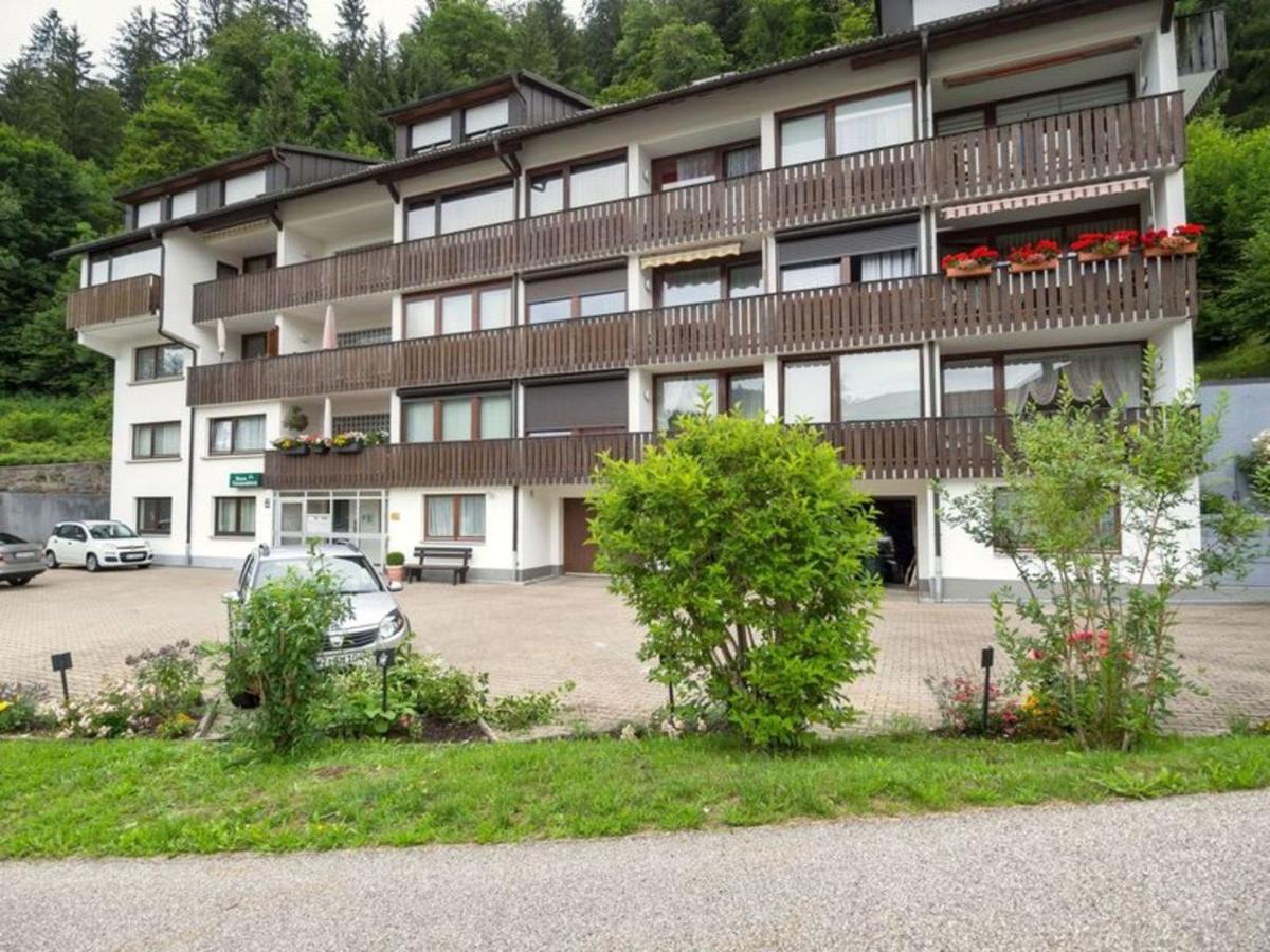 Gib mir funf! Ferienwohnung in St. Blasien Exterior foto