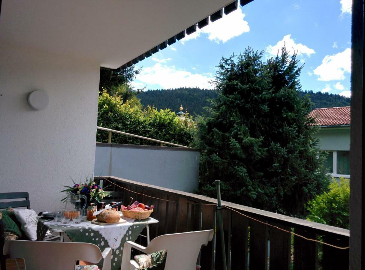 Gib mir funf! Ferienwohnung in St. Blasien Exterior foto